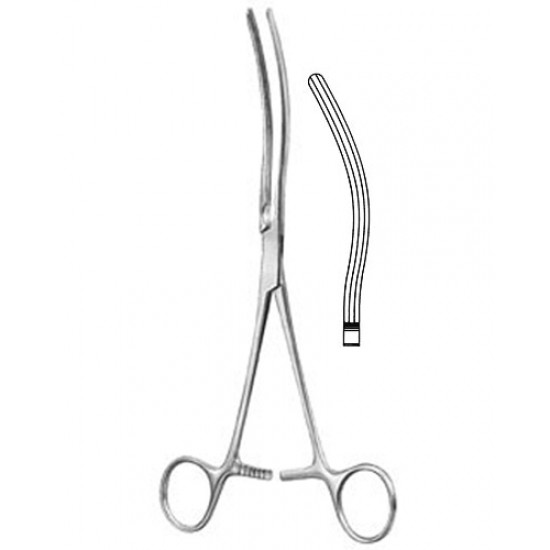 Stomach, Intes tines, Rectum