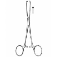 Stomach, Intes tines, Rectum