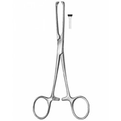 Stomach, Intes tines, Rectum