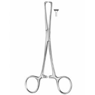 Stomach, Intes tines, Rectum