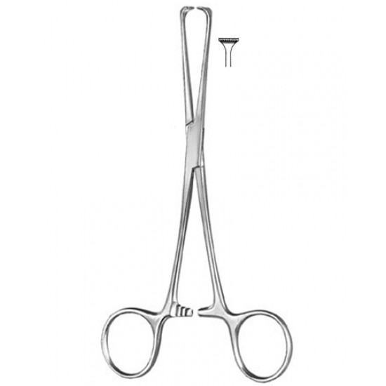 Stomach, Intes tines, Rectum