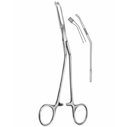 Stomach, Intes tines, Rectum