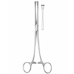 Stomach, Intes tines, Rectum