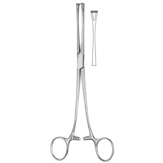 Stomach, Intes tines, Rectum