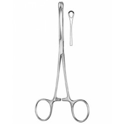 Stomach, Intes tines, Rectum