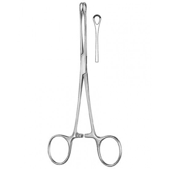 Stomach, Intes tines, Rectum