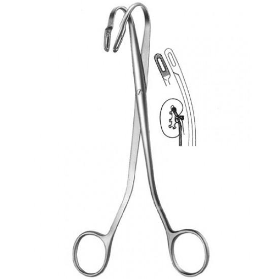 Urology