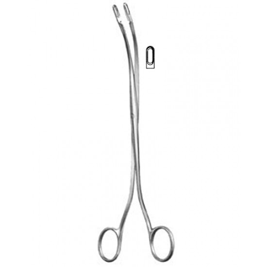 Urology