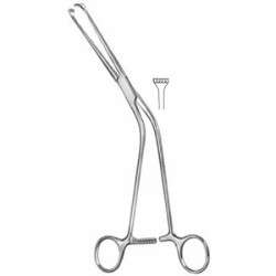 Urology