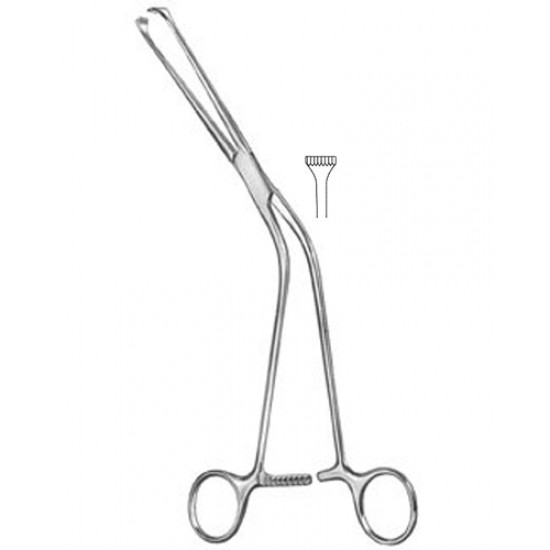 Urology