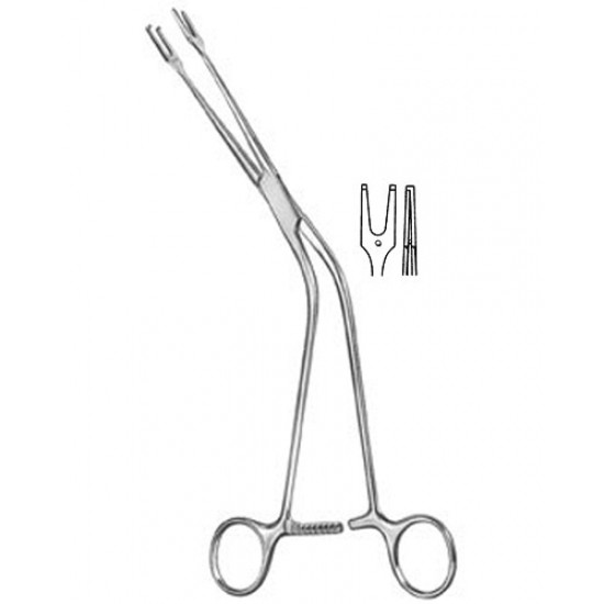 Urology