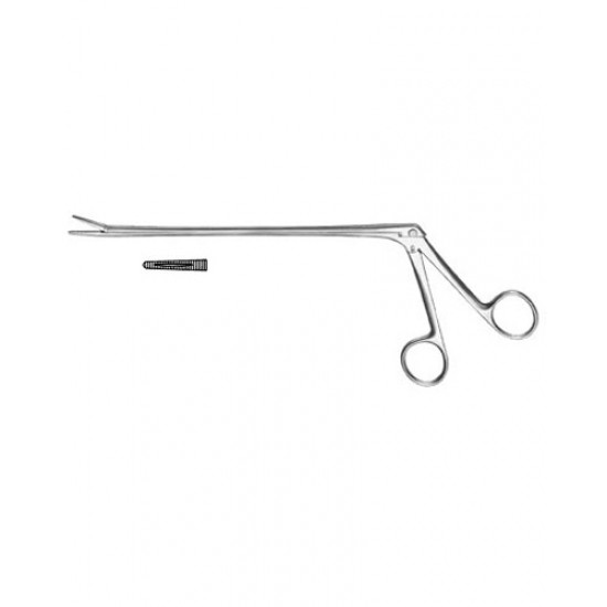 Urology