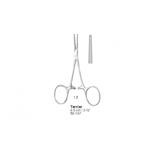 Artery Forceps
