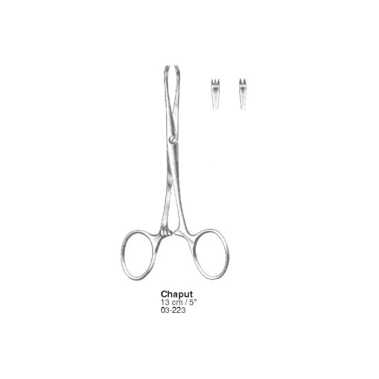 Artery Forceps