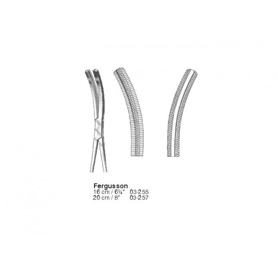 Artery Forceps