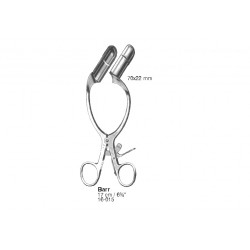 Intestines, Stomach, Rectum