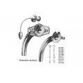 Mouth, Tongue, Trackheotomy