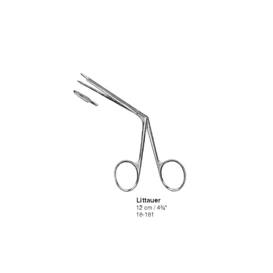 Otology