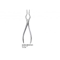 Rhinology