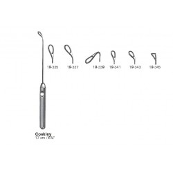 Rhinology