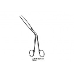 Rhinology