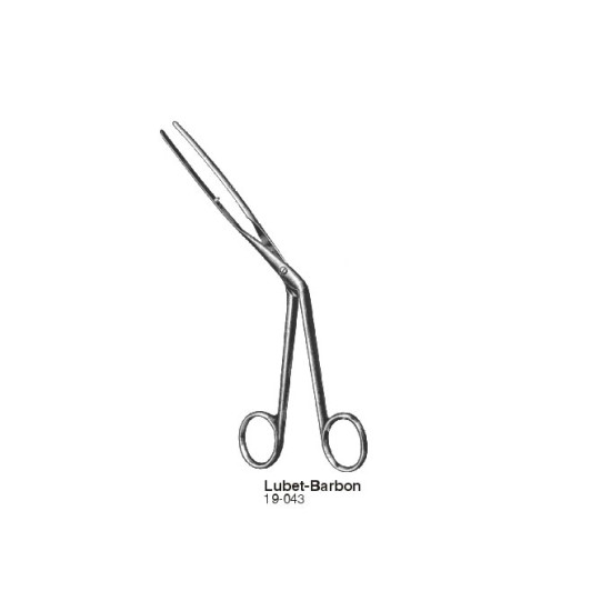 Rhinology