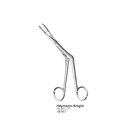 Rhinology