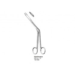 Rhinology