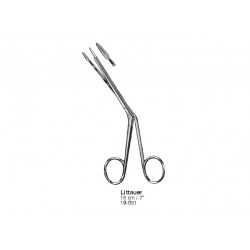 Rhinology