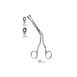 Rhinology