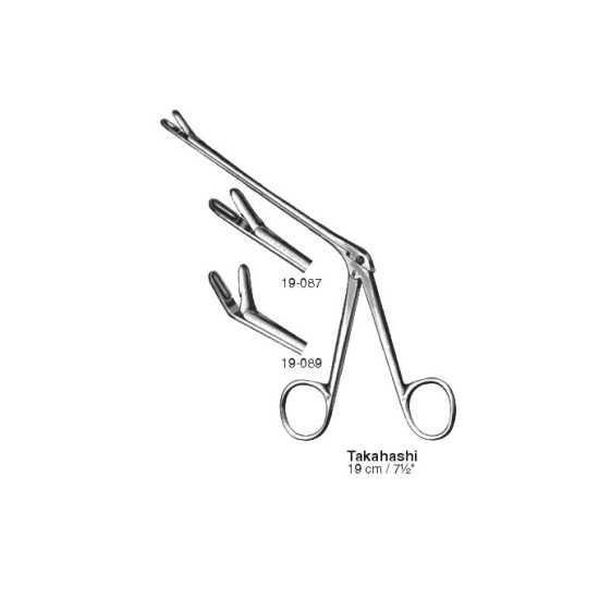 Rhinology