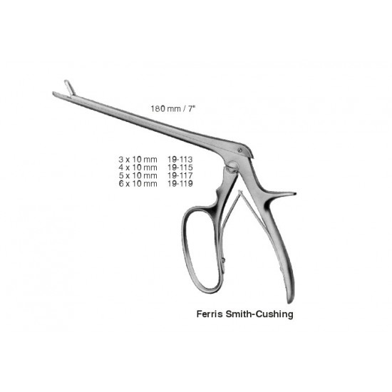 Rhinology