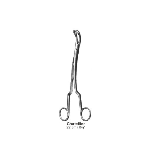 Rhinology