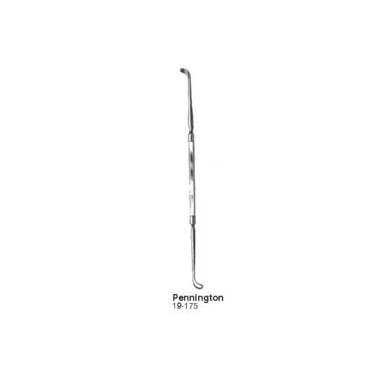 Rhinology
