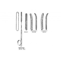 Rhinology